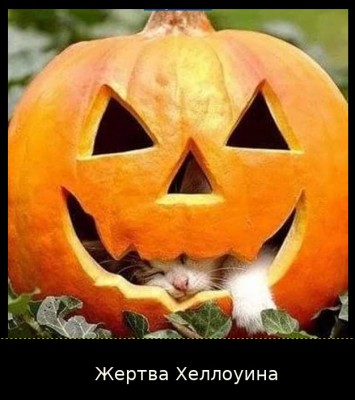 жертва Хеллоуина 2.jpg