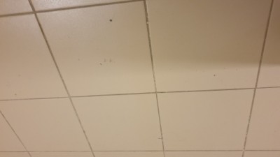 20201103_192718.jpg