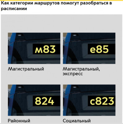 автобусы _1.jpg